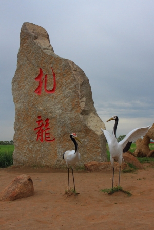 向北尋北［十四］— 扎龍濕地(丹頂鶴)