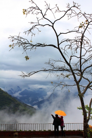 情伴山嵐