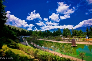 動、靜皆美 清境之旅