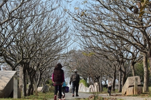 台中都會公園 by 攝工