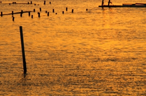 七股夕照     小小白IS拍攝