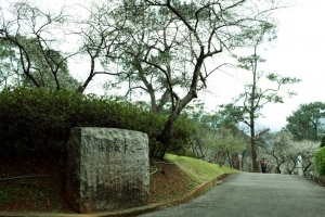賞梅---角板山行館