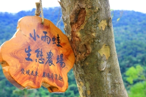 校外教學(圖多慎入)