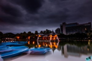 颱風過後的清晨!! 台中公園!!