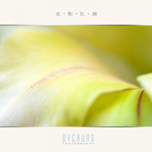 ::: Flower Macro 花的微距 :::