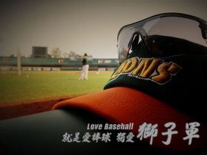 台南棒球場想像空間!!!