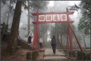 20150322 霧鎖阿里山-紅檜林神木