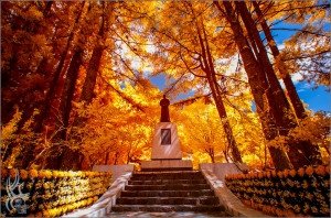 福壽山松盧．紅外線攝影