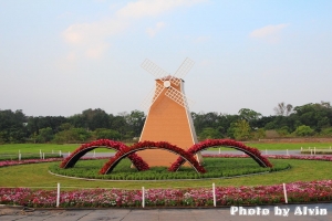 2012台中新社 花海搶鮮看