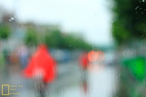 雨季