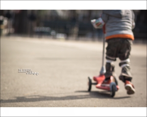 ::: The Scooter 滑板車 by DV :::