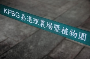 新手試影
