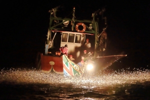 磺火捕魚深入報導