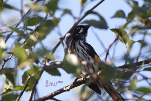 動物園拍動物趣