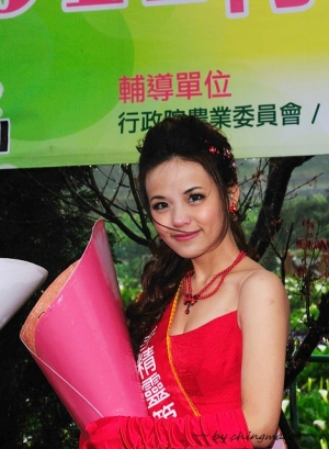 2011 竹子湖海芋季