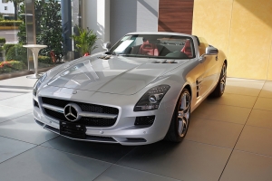 (chujy) Mercedes Benz SLS AMG Roadster