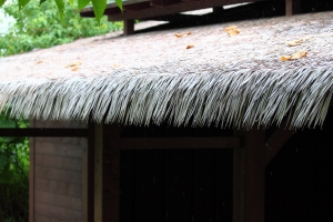 雨一張流--關渡自然公園--BY好攝客