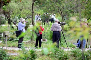 悠哉植物園