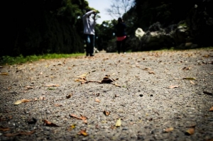 Taichung-新社莊園