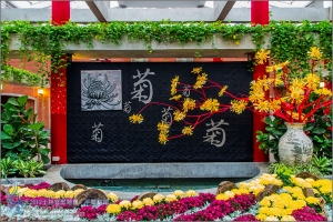 2012士林官邸菊展．手舞菊蹈