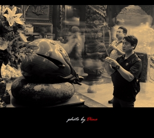 那不是花瓣,是我凋零的心