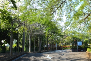 就是愛荔汁園 Part 2