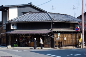 日本-白櫻