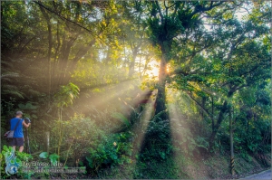 普安堂．晨曦斜射光