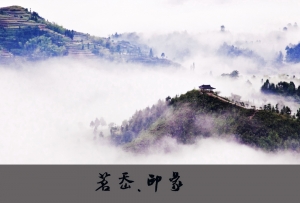 茗岙印象