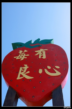 [DoubleX]-大湖草莓之旅