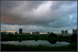 20140726 週末早晨