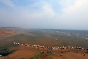 北戴河鸽子窝海滩