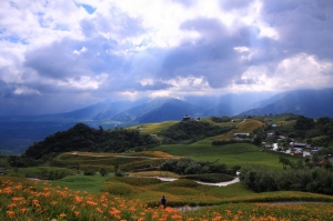 2012 金針之旅