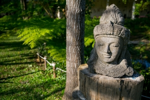 Canon EF 24-70mm F/2.8L ii USM 隨拍