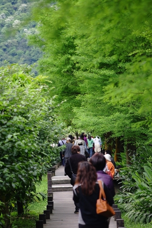 練鏡頭雜拍