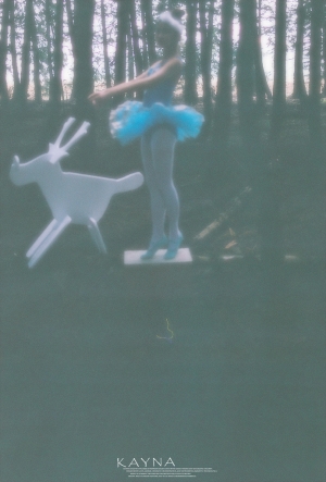 【芭蕾】