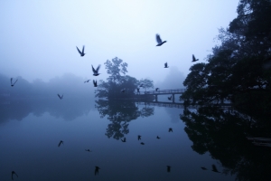 霧鎖清華~成功湖