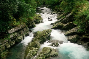 風景寫真