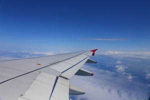 蓮有香港~黃鴨登場!!!!