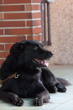 小小白IS 第一次試拍