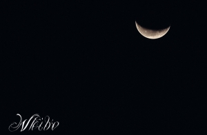 上山下海趴趴照~