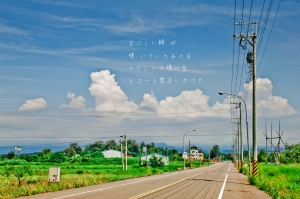 久違 - 高美濕地