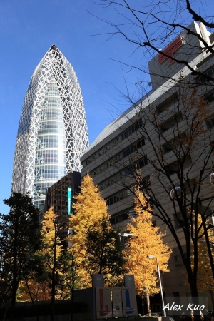 東京都廳與首都醫校美麗建築