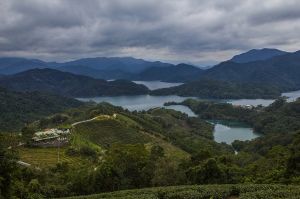 閒來無事拍拍照