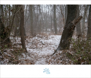 ::: Frozen Ground 冰天雪地[三] 樹林 by DV :::