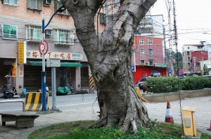 老街閒逛 _by jyp.