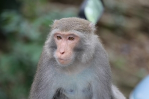 壽山動物真古錐~~~!