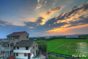 鄉村早晨