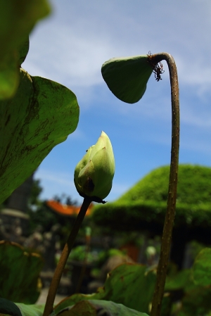 終於等到藍天