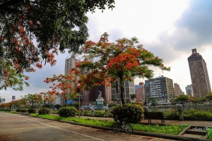 光榮碼頭&愛河畔自由拍